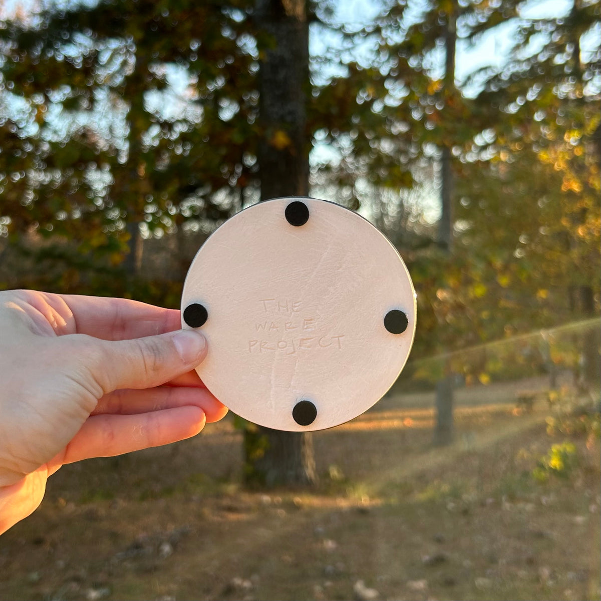 Coasters (Set of 2)